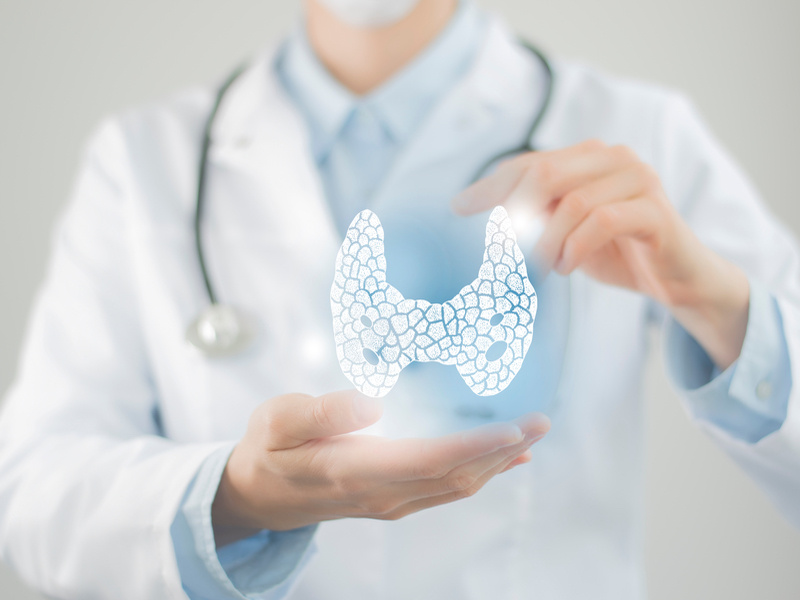 Θυρεοειδής: Όλα όσα πρέπει να γνωρίζετε