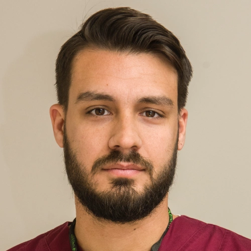 Αλεβίζος Άκης