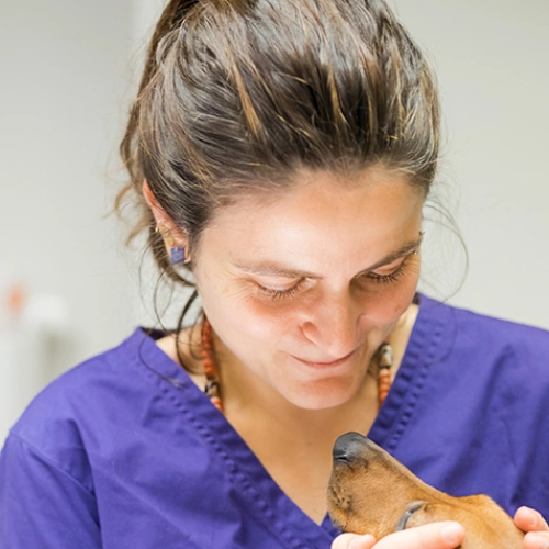 Αγγελάκη Έλενα