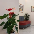 Φωτογραφίες ιατρείου