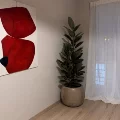 Φωτογραφίες ιατρείου