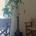 Φωτογραφίες ιατρείου