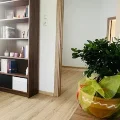 Φωτογραφίες ιατρείου